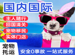 海西德令哈航空空运国际宠物托运 【国